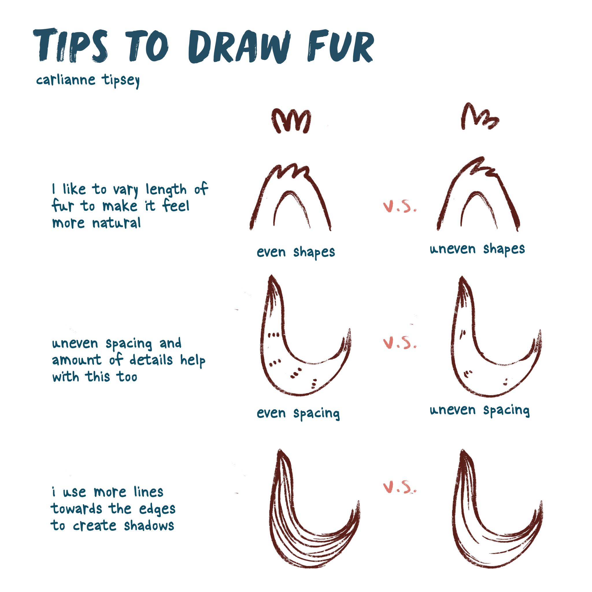 How to Draw Fur | Tips, Tricks, and Step-by-Step Instructions!